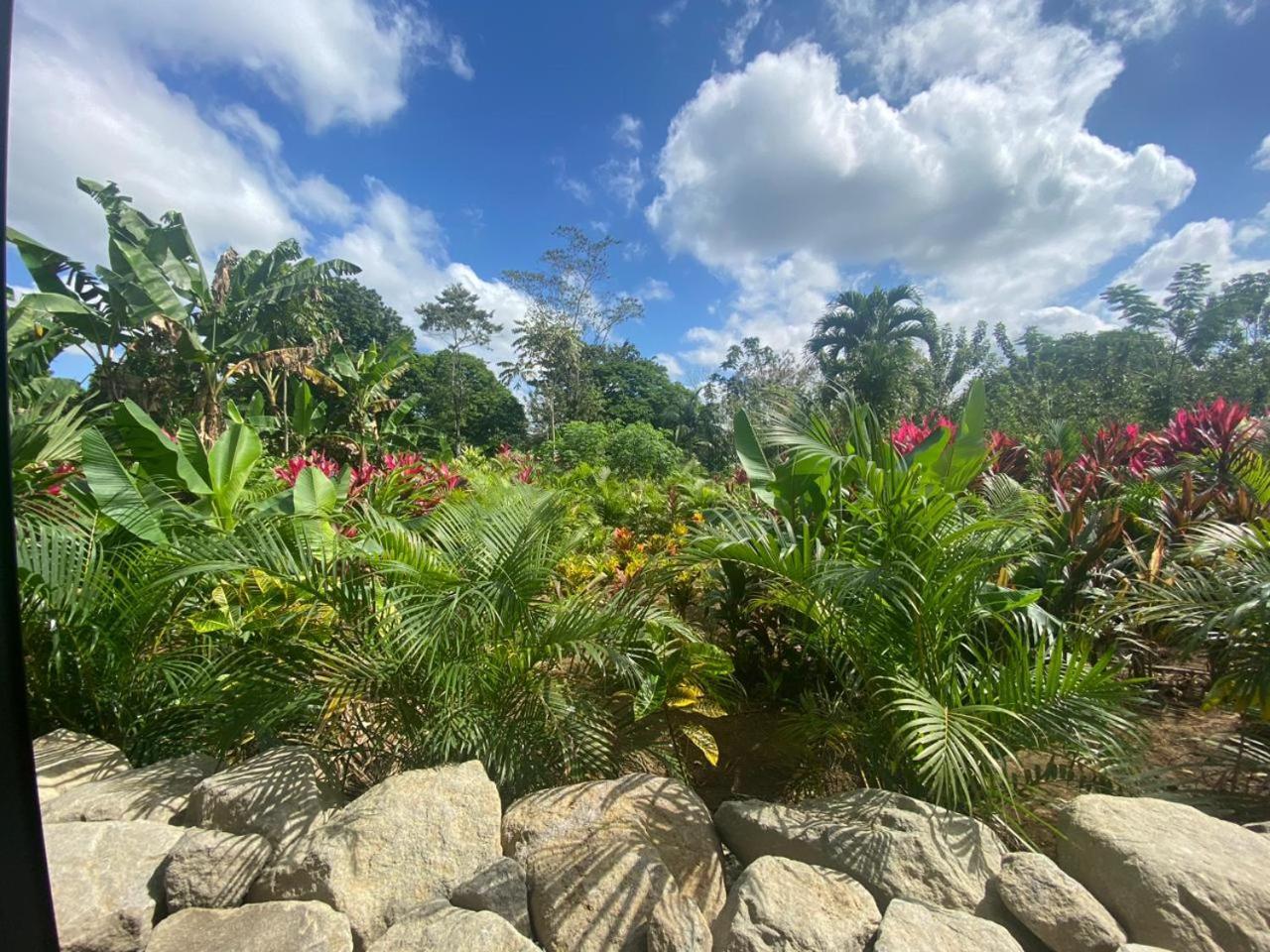Villa Tanager La Fortuna Exterior foto